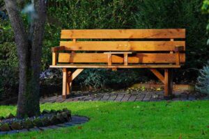 The Charm of Wooden Bench